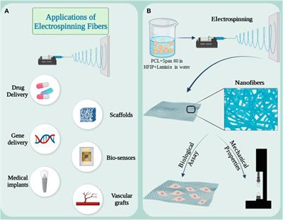 Effective and new technologies in kidney tissue engineering